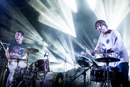 the wombats